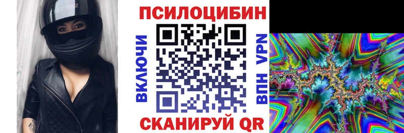 Галлюциногенные грибы Psilocybe  Купить где  Новозыбков 